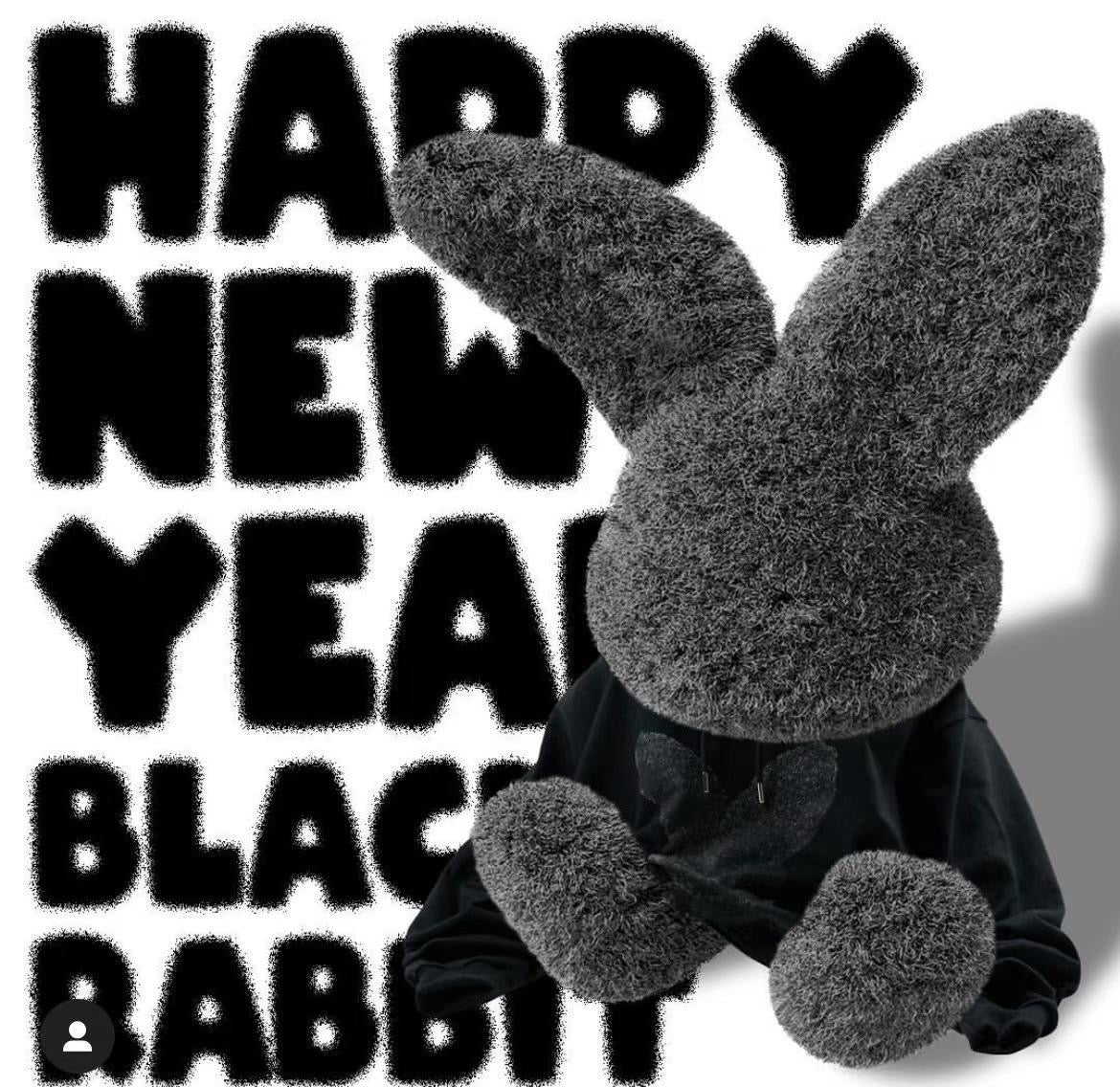 【IN STOCK】ADLV BLACK FUZZY RABBIT SHORT SLEEVE T-SHIRT BLACK